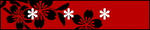 banner.jpg