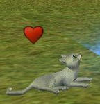 mabinogi_2010_12_21_013.jpg