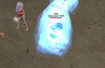 mabinogi_2011_08_11_001.jpg