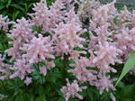 20070619080101_3153.jpg