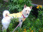 20070629074313_3169.jpg