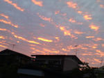 20070624190822_3173.jpg