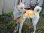 20070629074059_3170.jpg