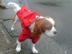 20070704075010_3184.jpg