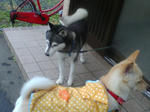20070704075626_3180.jpg