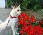 20070706074821_3201.jpg
