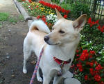 20070706074936_3199.jpg