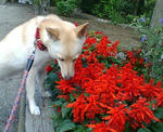 20070706074833_3200.jpg