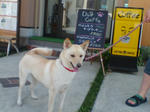 20070708154303_3225.jpg