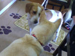 20070708152422_3231.jpg