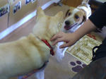 20070708151624_3232.jpg