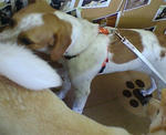 20070708145950_3247.jpg