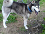 20070717074516_3309.jpg