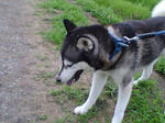 20070717074553_3308.jpg