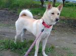 20070717075132_3307.jpg