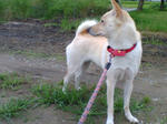 20070717075142_3306.jpg