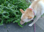 20070717080111_3304.jpg
