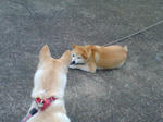 20070720084644_3338.jpg