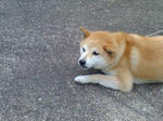 20070720084651_3337.jpg
