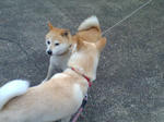 20070720084731_3336.jpg