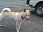 20070720084809_3335.jpg