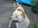 20070720084858_3334.jpg