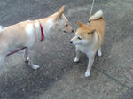 20070720084949_3333.jpg