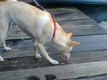 20070722134014_3352.jpg