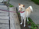 20070722134043_3350.jpg