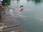 20070722134031_3351.jpg
