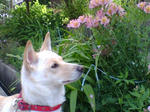 20070727071829_3373.jpg