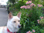 20070727071839_3372.jpg