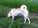 20070727073712_3370.jpg