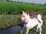 20070727073756_3369.jpg