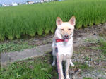 20070727073848_3368.jpg
