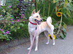 20070804083217_3390.jpg
