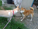 20070804090100_3387.jpg