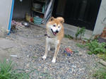 20070804090133_3386.jpg