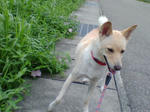 20070804080651_3393.jpg