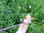 20070804080605_3395.jpg
