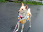 20070729170420_3382.jpg