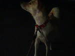 20070805204214_3416.jpg