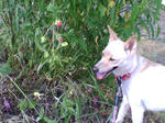 20070805164729_3419.jpg