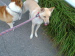 20070805163721_3421.jpg