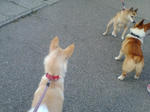 20070805163519_3422.jpg