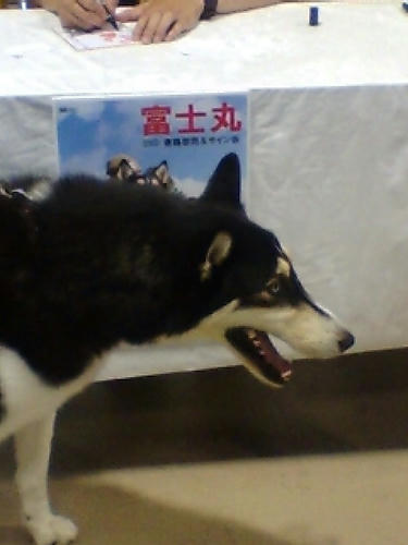 20070811153051_3437.jpg