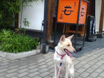 20070816154634_3463.jpg