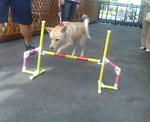 20070825140749_3541.jpg
