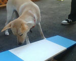 20070825140242_3545.jpg