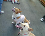 20070825150138_3533.jpg